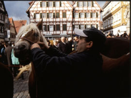 242. Leonberger Pferdemarkt