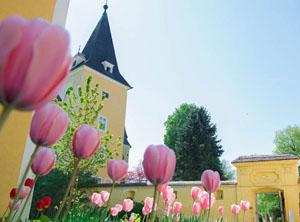 Ostermarkt Schloss Mühldorf 2020 abgesagt