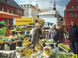 Greifswalder Blumen- und Ostermarkt 2022